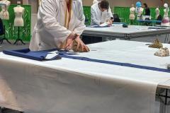 La-Rioja-en-SpainSkills-21